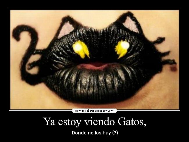 Ya estoy viendo Gatos, - Donde no los hay (?)