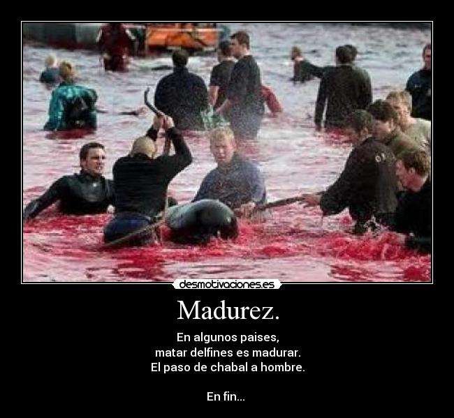 Madurez. -