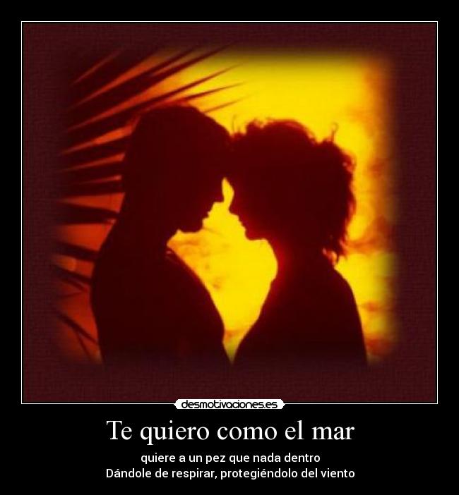 carteles joshba desmotivaciones