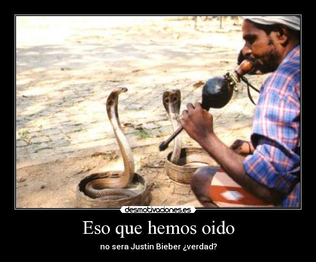 Eso que hemos oido - no sera Justin Bieber ¿verdad?