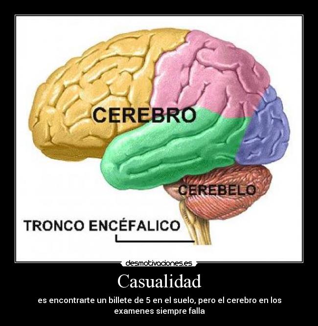 Casualidad - es encontrarte un billete de 5 en el suelo, pero el cerebro en los
examenes siempre falla