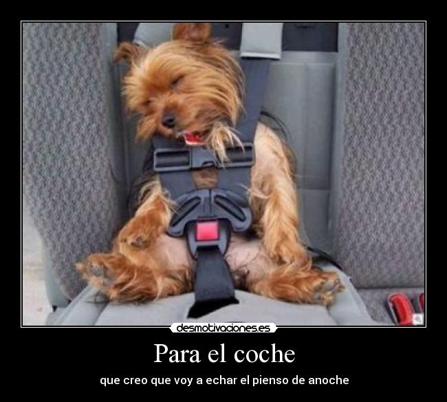 Para el coche -