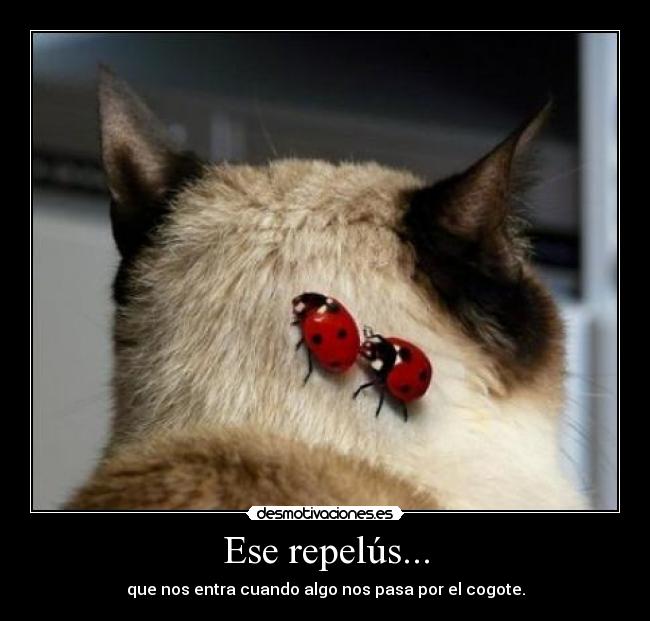 Ese repelús... - que nos entra cuando algo nos pasa por el cogote.