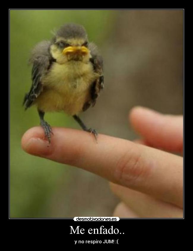 Me enfado.. - y no respiro JUM! :(