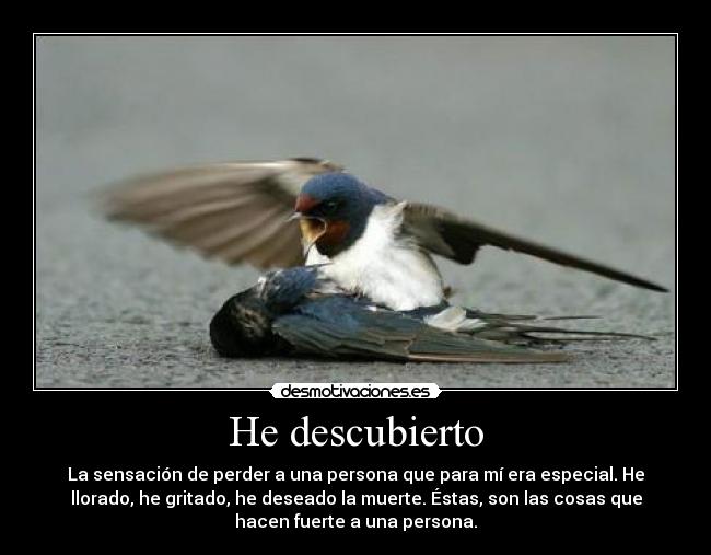 He descubierto - La sensación de perder a una persona que para mí era especial. He
llorado, he gritado, he deseado la muerte. Éstas, son las cosas que
hacen fuerte a una persona.