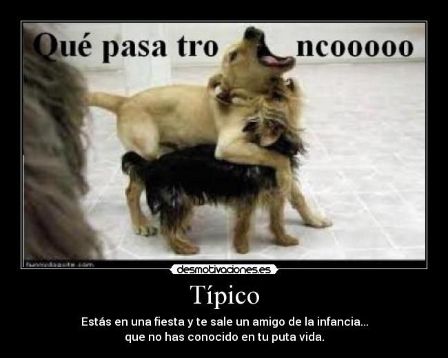 Típico -