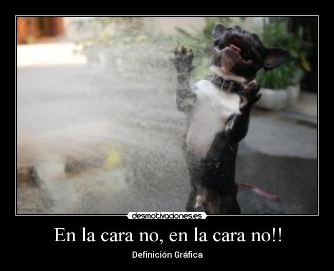 En la cara no, en la cara no!! -