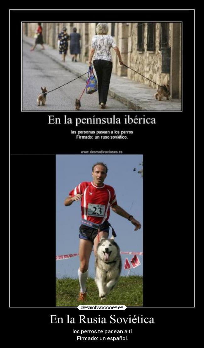 En la Rusia Soviética - los perros te pasean a tí
Firmado: un español.