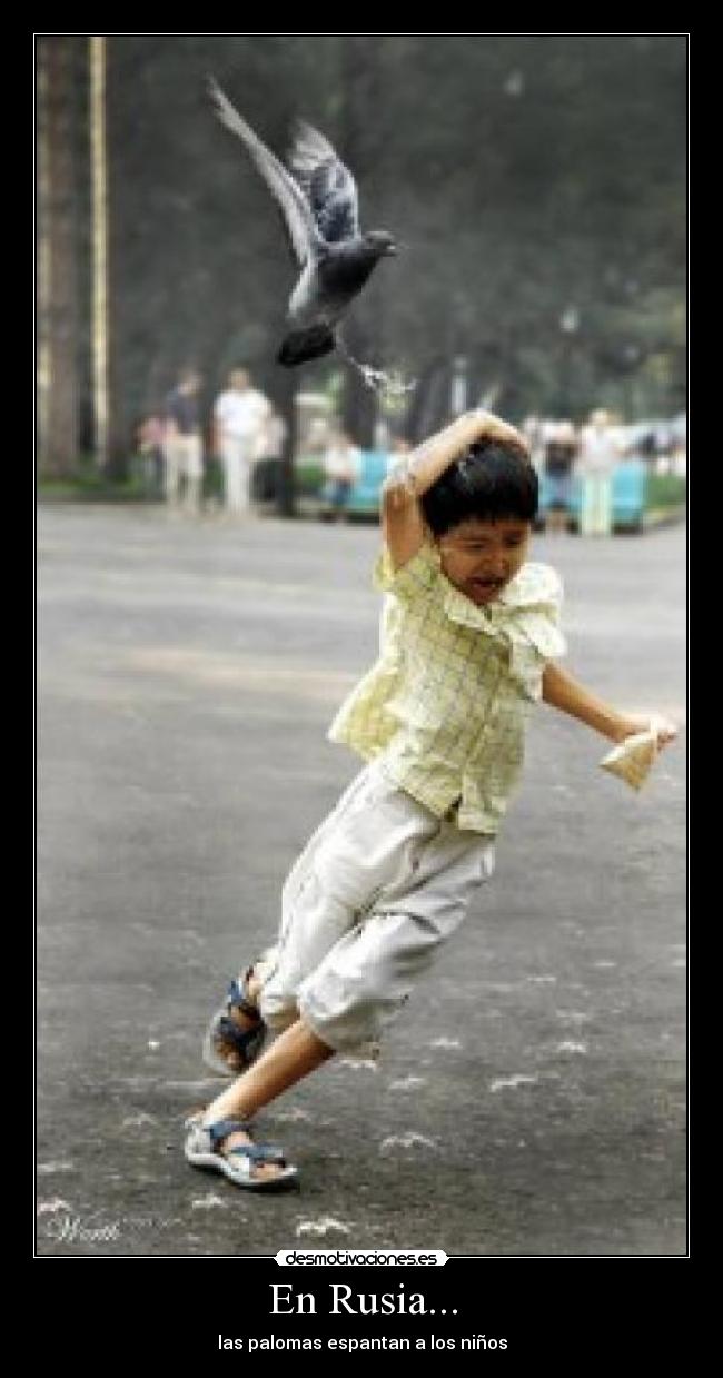 En Rusia... - las palomas espantan a los niños