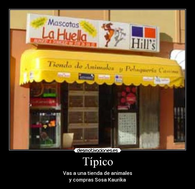 Típico - Vas a una tienda de animales
y compras Sosa Kaurika