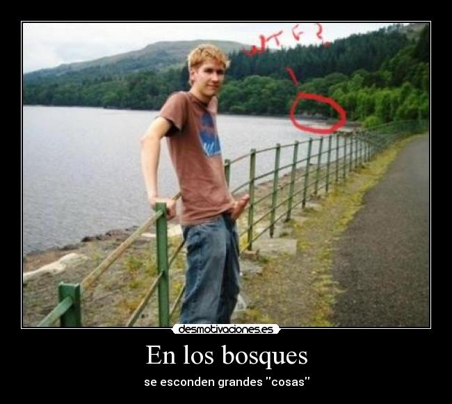 carteles bosque wtf chico cosas desmotivaciones