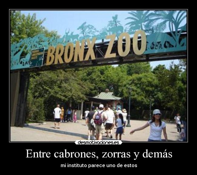 carteles pitgrif desmotivaciones