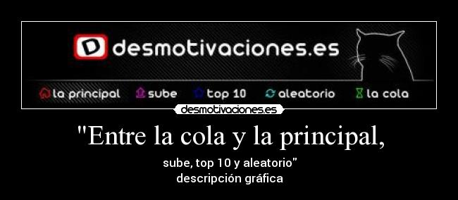 carteles entre cola principal desmotivaciones