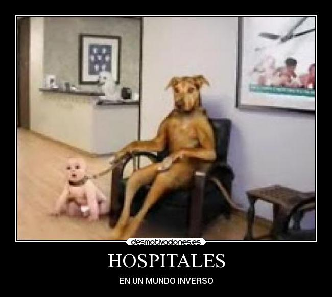 HOSPITALES - 