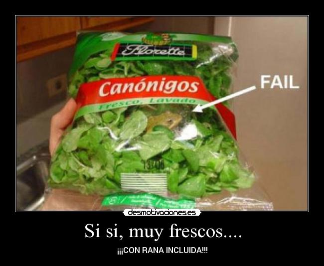 Si si, muy frescos.... - ¡¡¡CON RANA INCLUIDA!!!