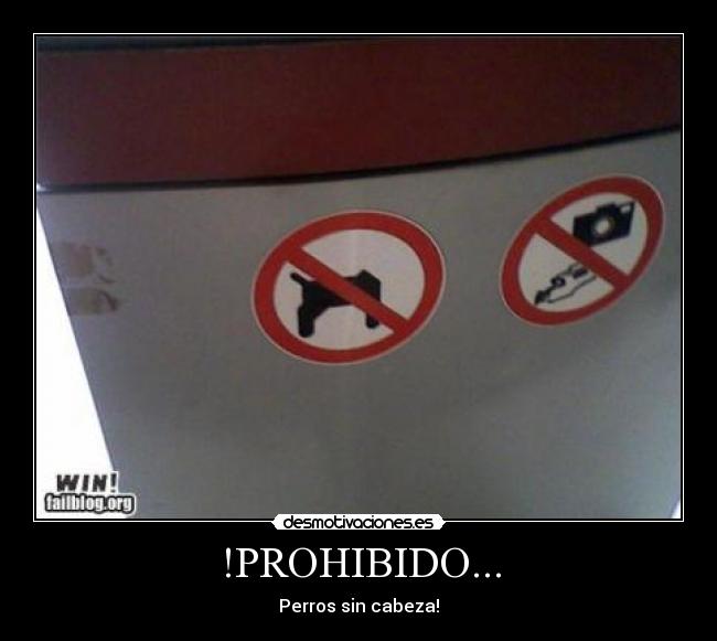 !PROHIBIDO... - Perros sin cabeza!