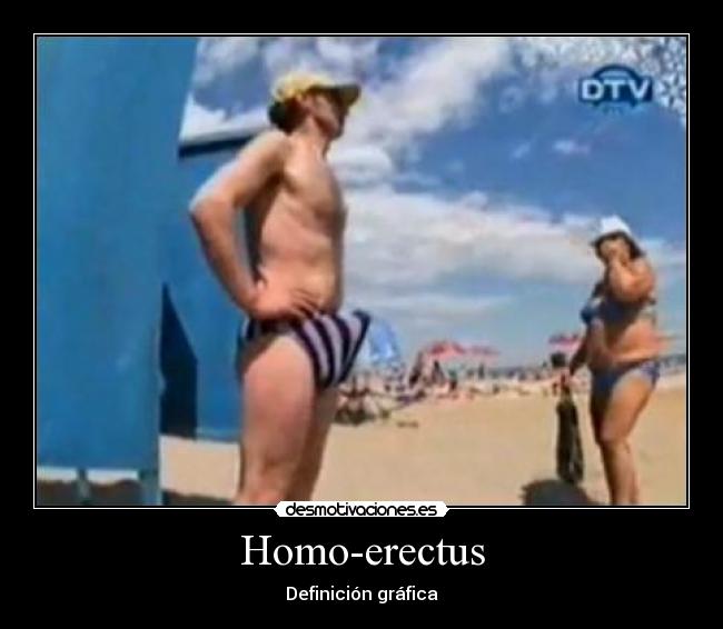 Homo-erectus - Definición gráfica