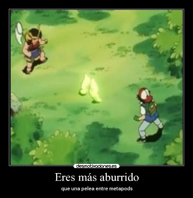 Eres más aburrido - que una pelea entre metapods
