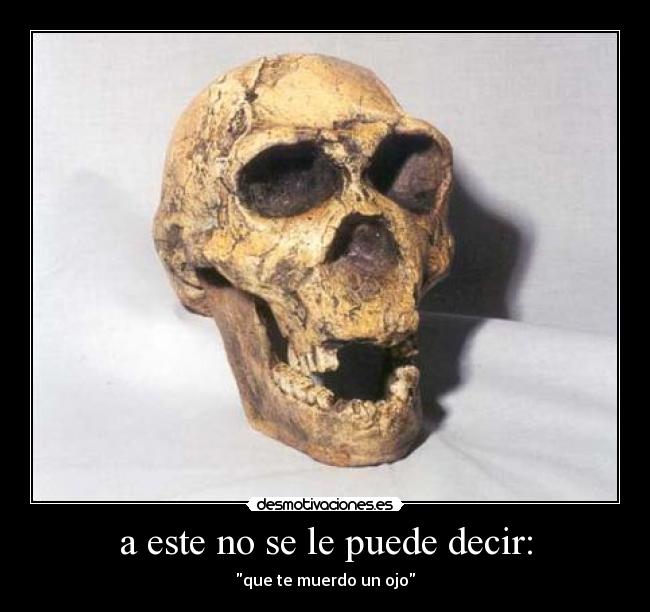 a este no se le puede decir: - 