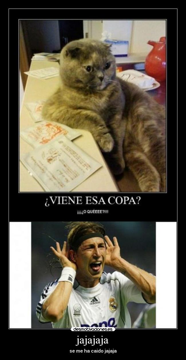 jajajaja - se me ha caido jajaja