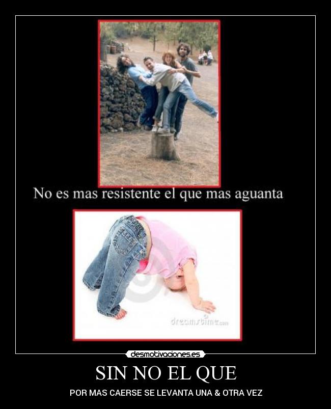 carteles erikreinerramofcilikesloldarkericlatypearbor1994 desmotivaciones