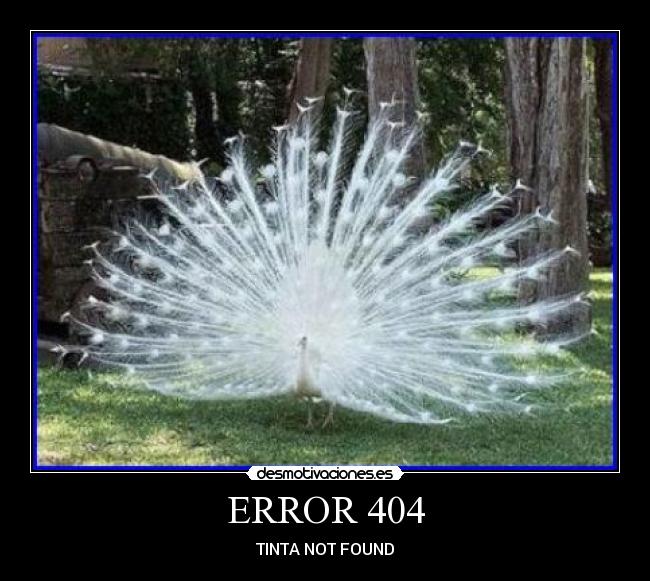 ERROR 404 - 