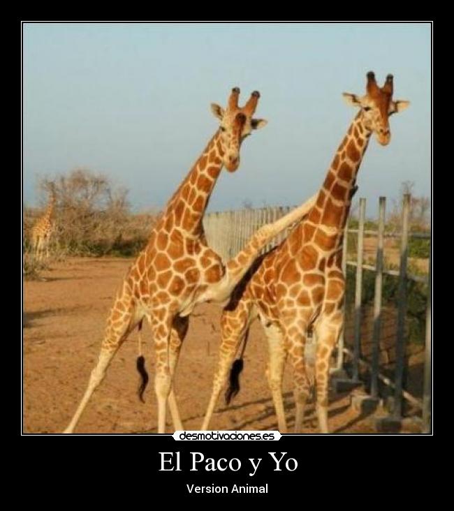 El Paco y Yo -