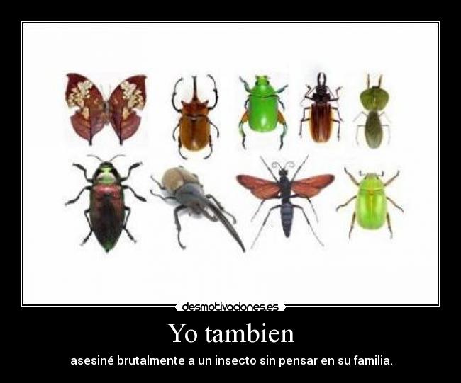 Yo tambien - asesiné brutalmente a un insecto sin pensar en su familia.