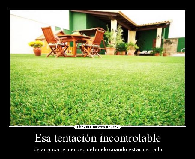 carteles bebida con pepino desmotivaciones