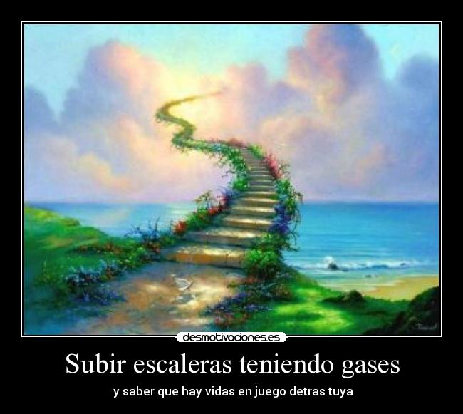 carteles subir escaleras desmotivaciones