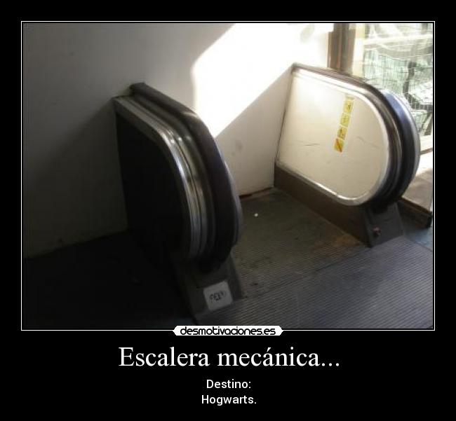Escalera mecánica... - 