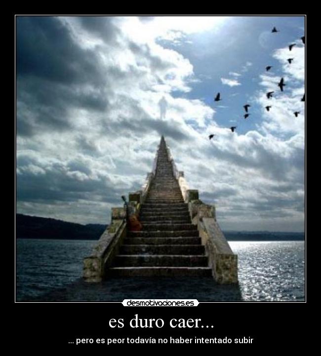 carteles frank castle desmotivaciones