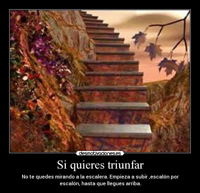 Si quieres triunfar - No te quedes mirando a la escalera. Empieza a subir ,escalón por
escalón, hasta que llegues arriba.