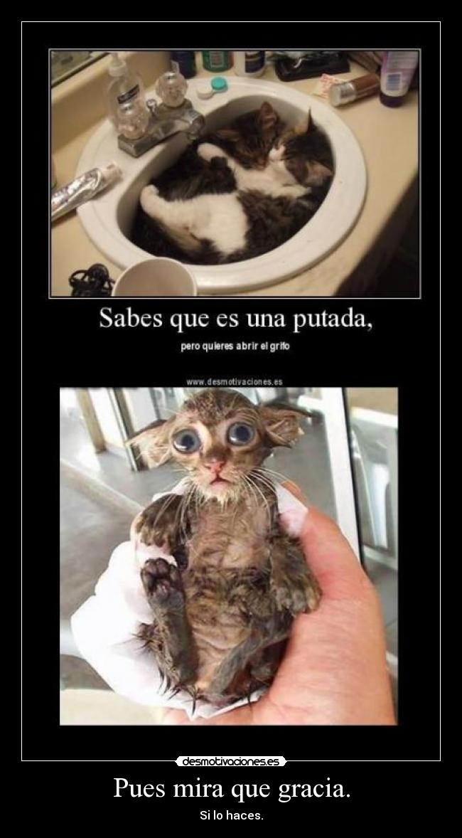 Pues mira que gracia. -