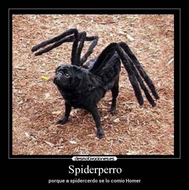 Spiderperro - porque a spidercerdo se lo comio Homer