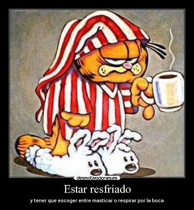 carteles resfriado garfield desmotivaciones