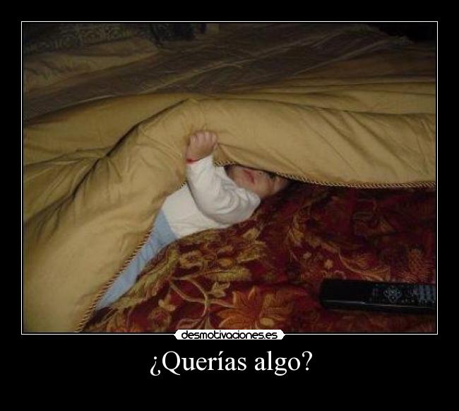 ¿Querías algo? - 