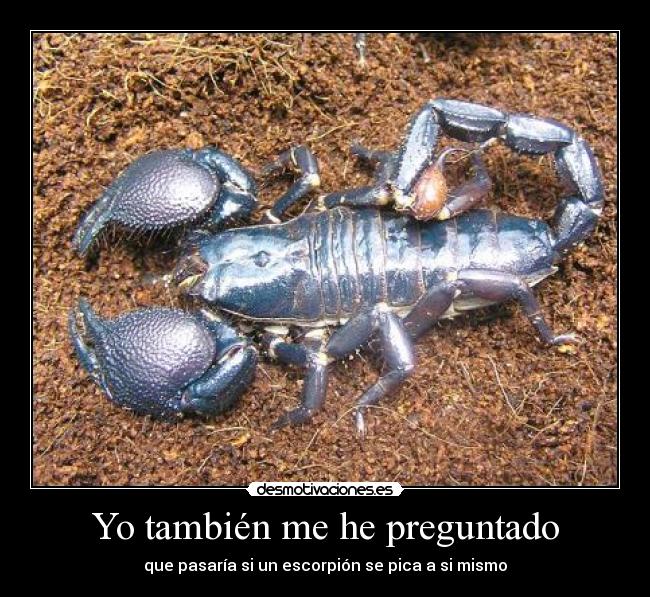 carteles tambien preguntado desmotivaciones