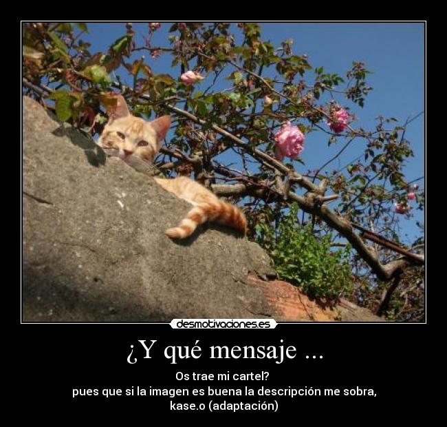¿Y qué mensaje ... - 