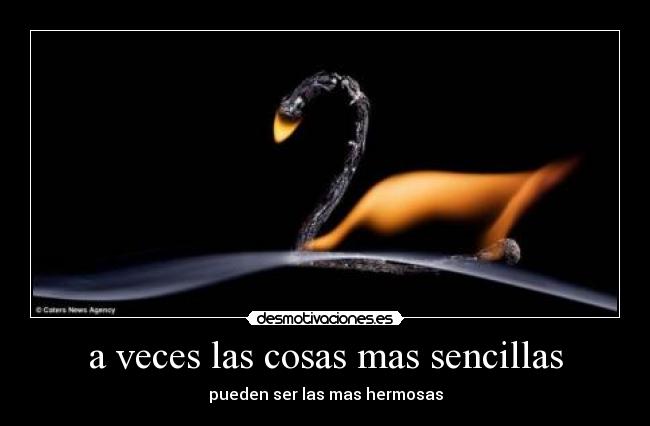 a veces las cosas mas sencillas - pueden ser las mas hermosas