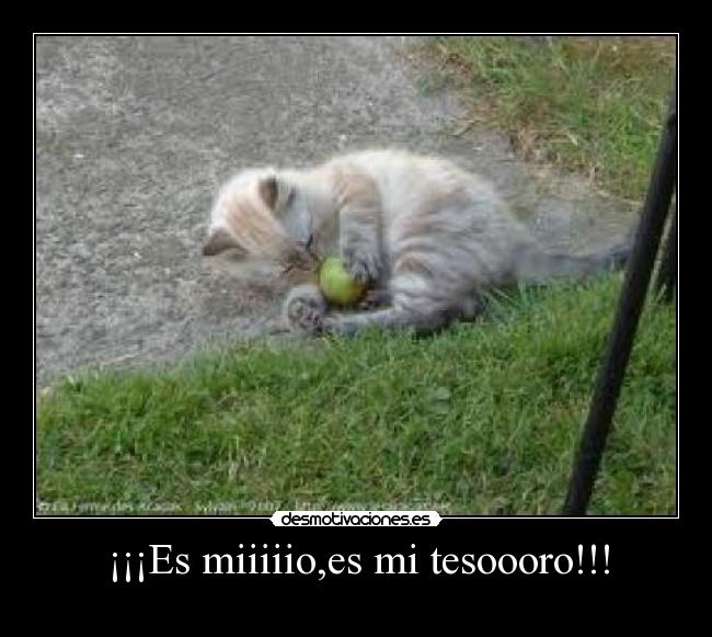 ¡¡¡Es miiiiio,es mi tesoooro!!! - 