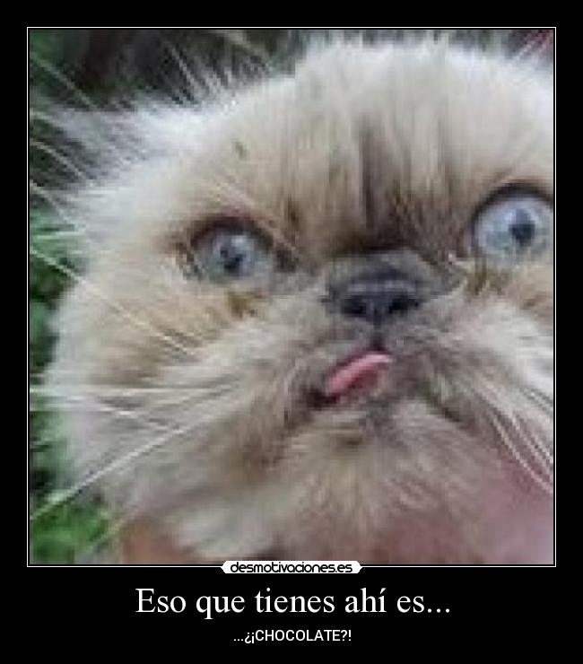 Eso que tienes ahí es... - 