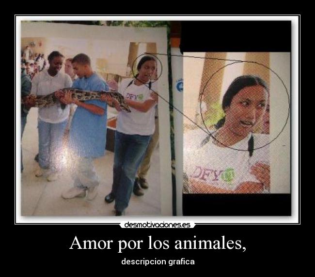 Amor por los animales, - descripcion grafica