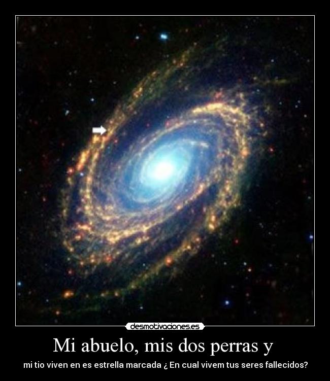 Mi abuelo, mis dos perras y - mi tio viven en es estrella marcada ¿ En cual vivem tus seres fallecidos?