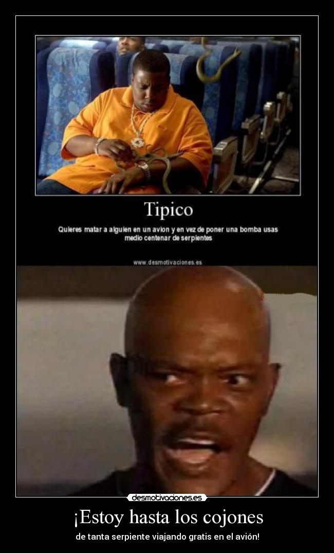 ¡Estoy hasta los cojones - de tanta serpiente viajando gratis en el avión!