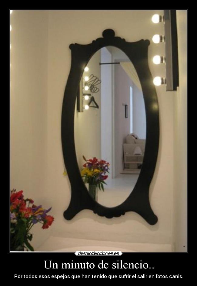 Un minuto de silencio.. - Por todos esos espejos que han tenido que sufrir el salir en fotos canis.