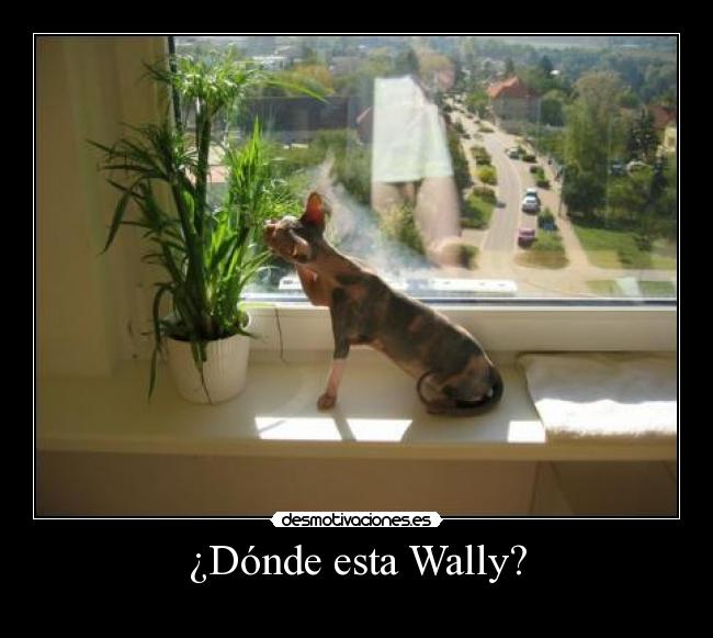 ¿Dónde esta Wally? -