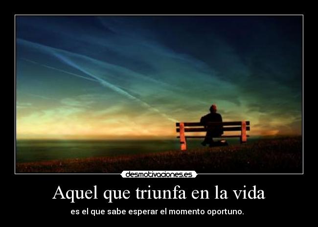 carteles vida vida desmotivaciones