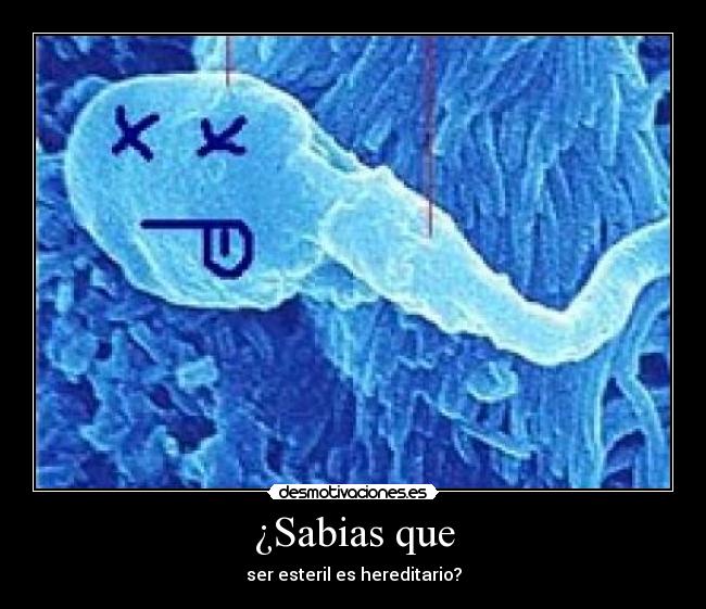 ¿Sabias que - ser esteril es hereditario?