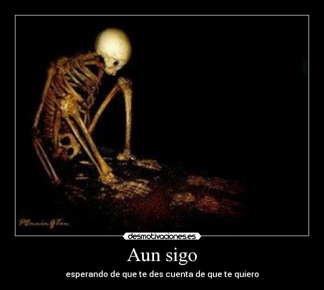 Aun sigo -